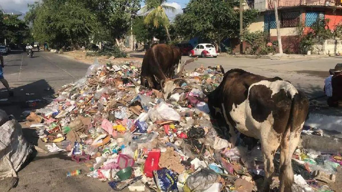 Basura Acapulco renacimiento