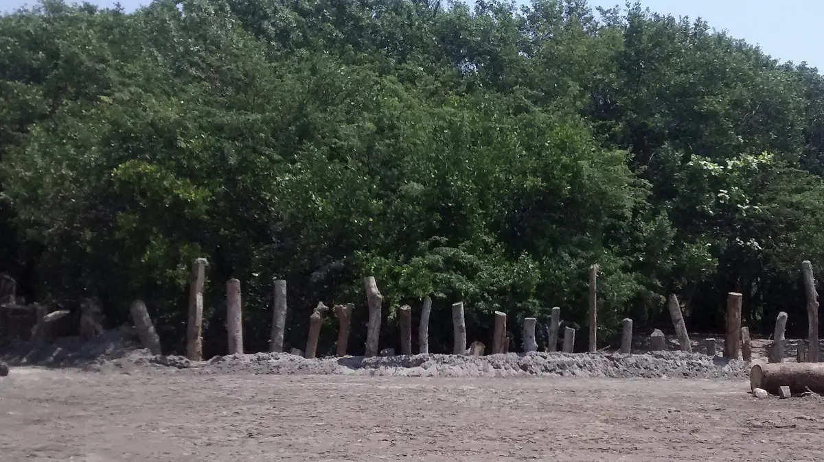 Desove de Cocodrilos