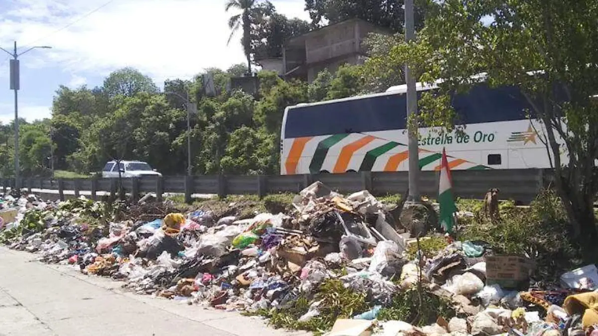 basura la mica
