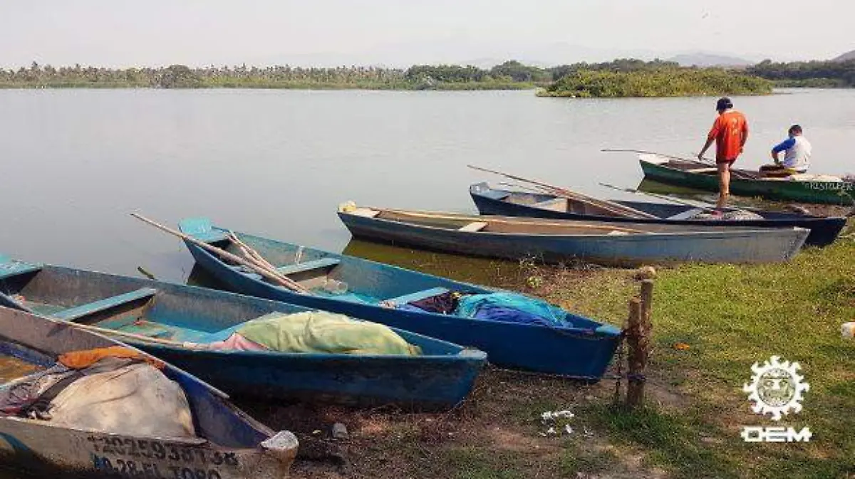 Costa grande - laguna se está secando 2