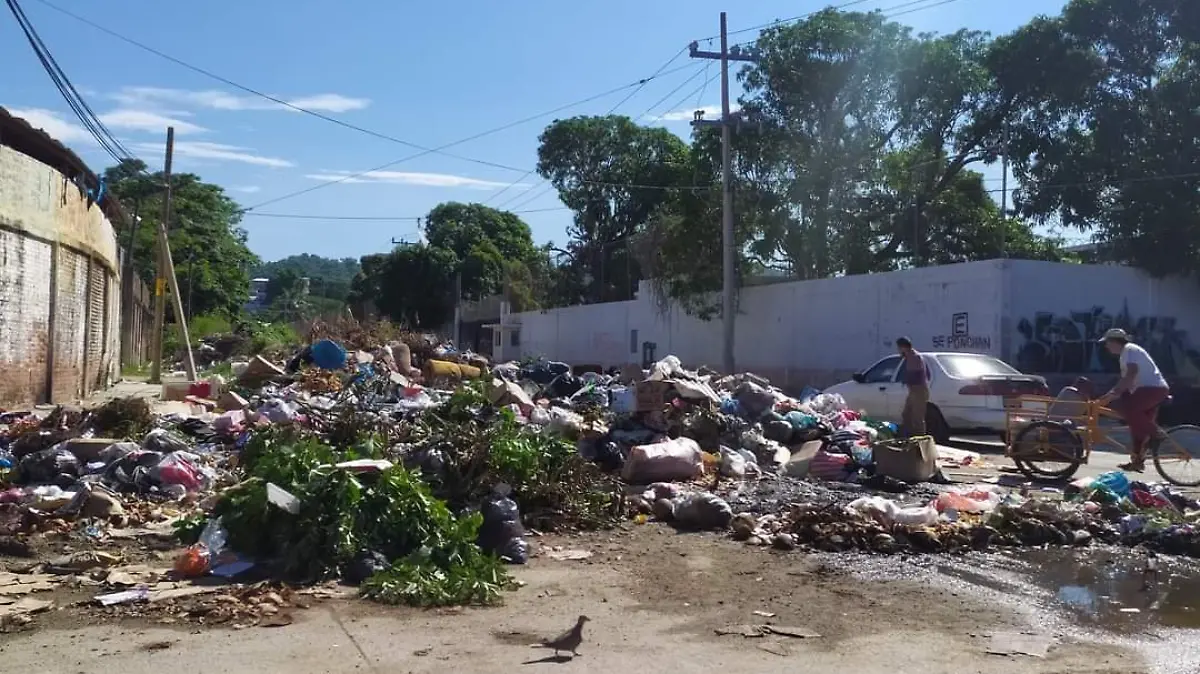 focos negros basura
