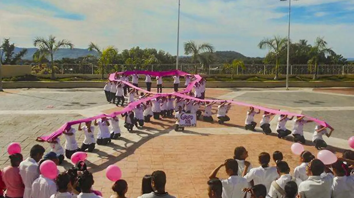 Cáncer de mama liston rosa