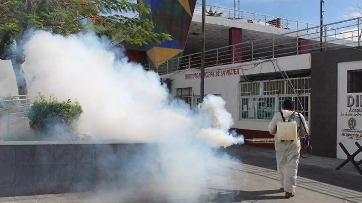 Vectores fumigación Dengue