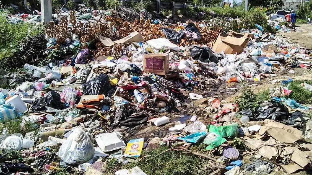 basura colonia leyees reforma