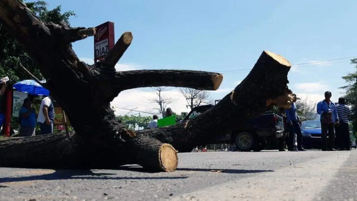 Bloqueo Ayutla