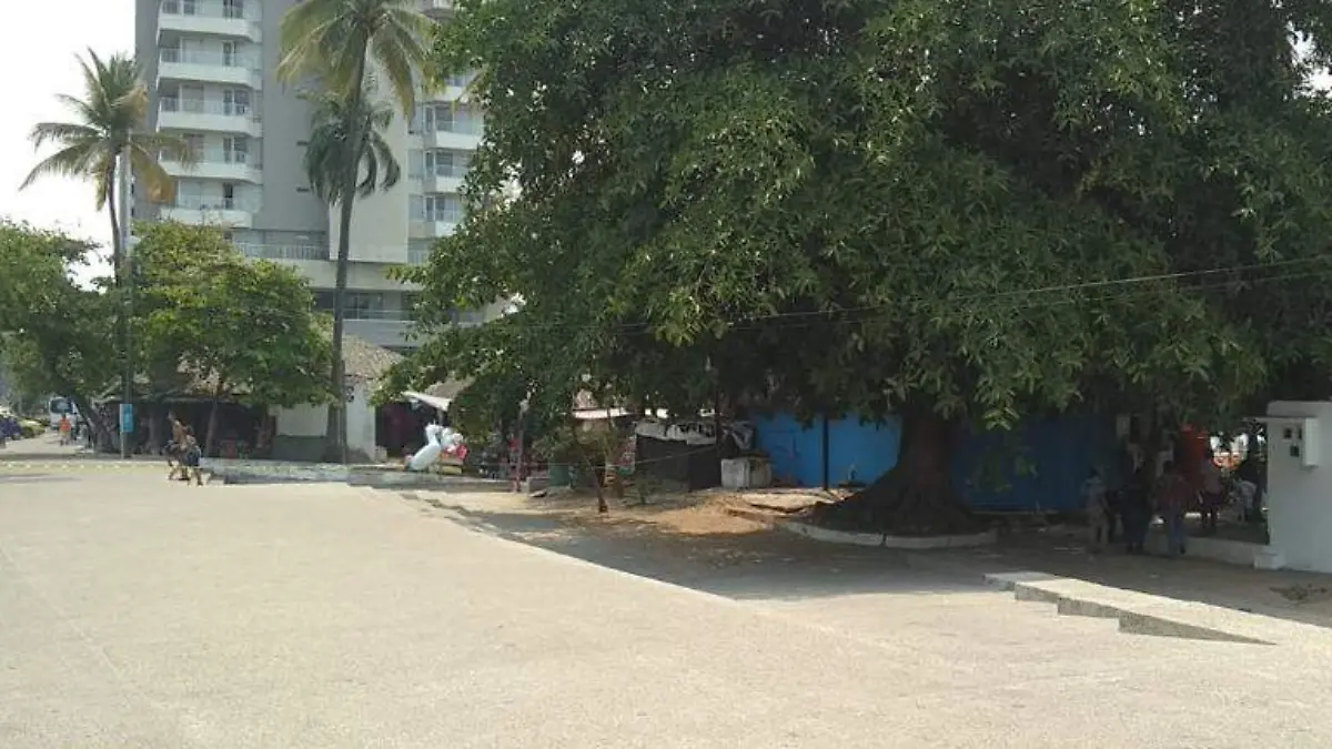 Ejecutado en papagayo