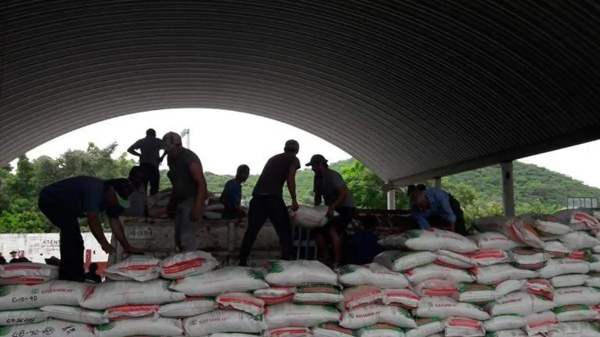 campesinos robando fertilizante