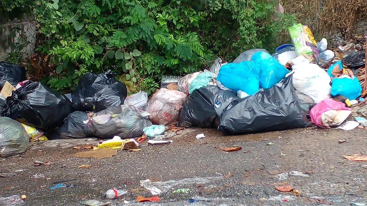 basura2