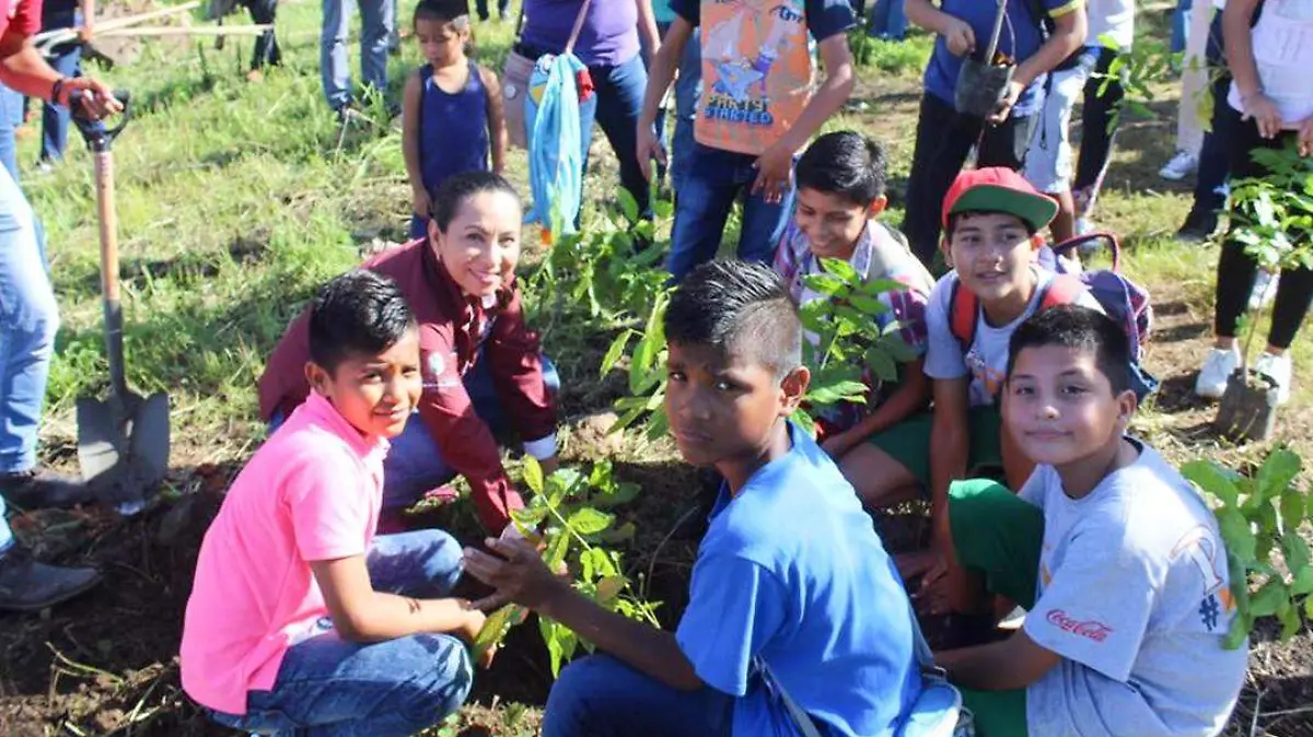 reforestacion dif