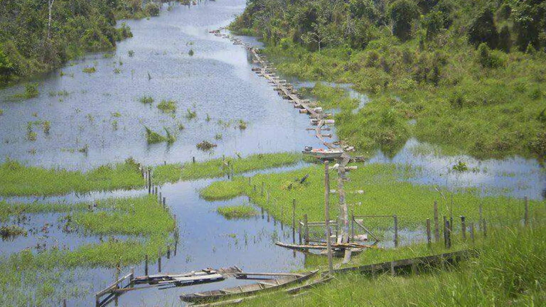 amazonas