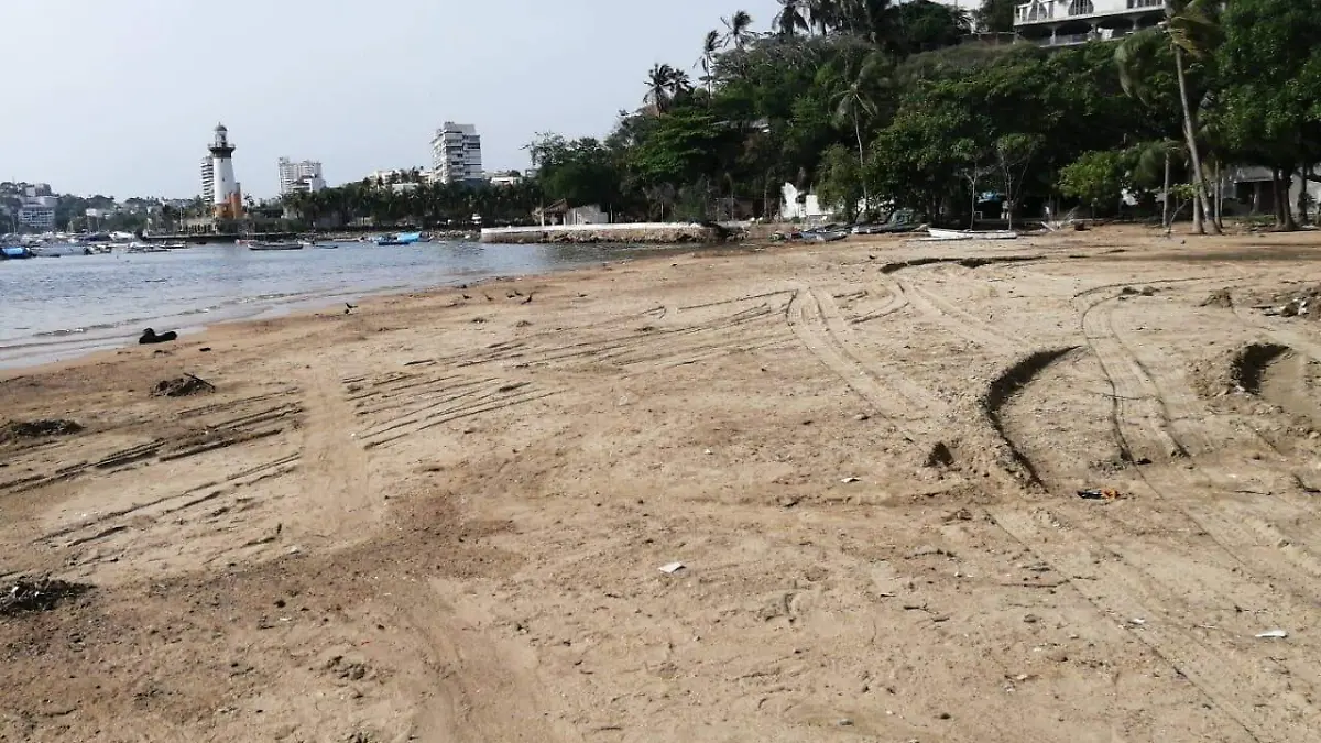 recolectan basura acapulco