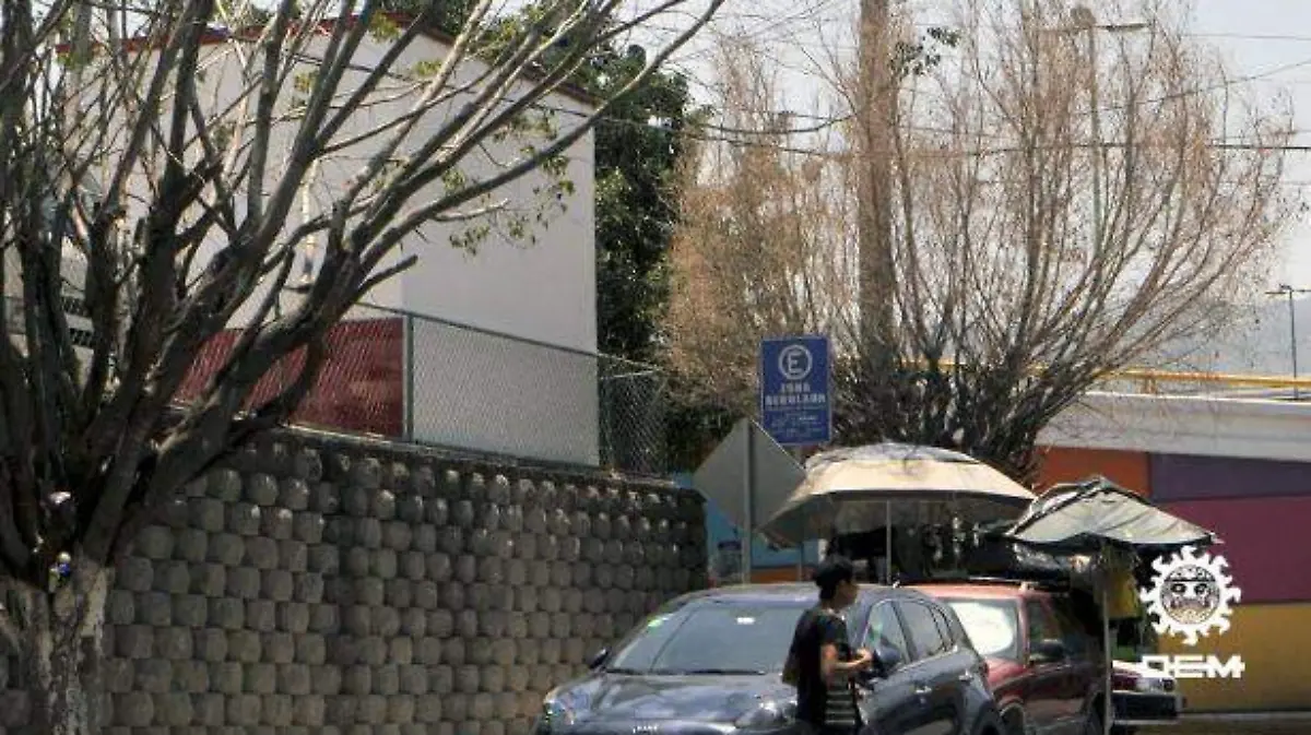 Chilpancingo - se seca ficus