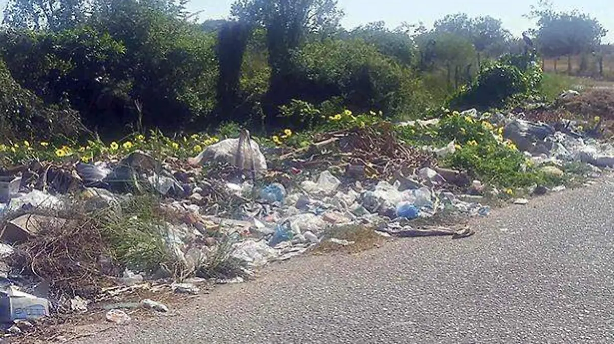 Acapulco - basureros clandestinos en la carretera de costa chica