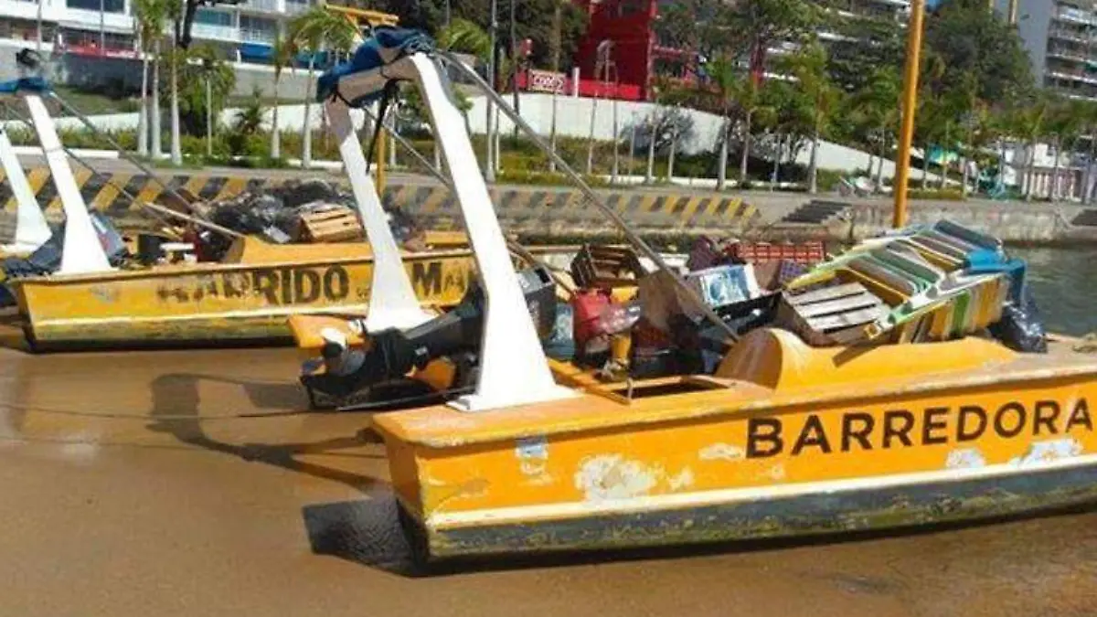 Promotora Playas Acapulco