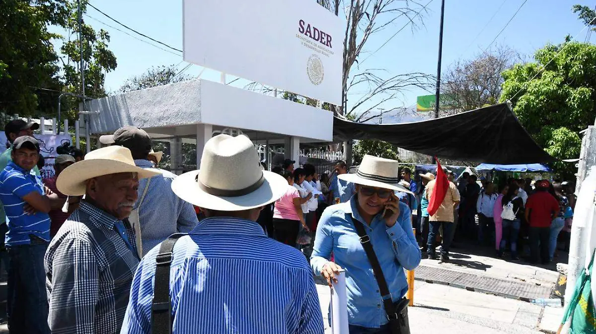 acuerdos fertilizante chilpancingo