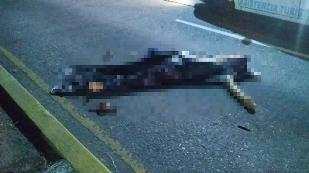 asesinado bar