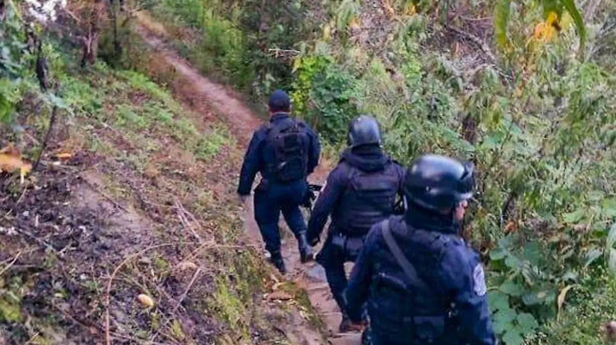 Acapulco - localizan dos cuerpos en filo de caballos