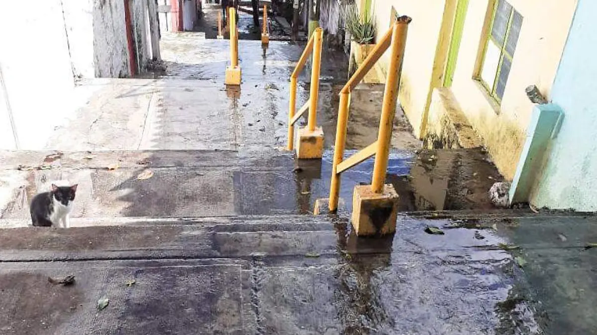 fuga de agua privada del tanque