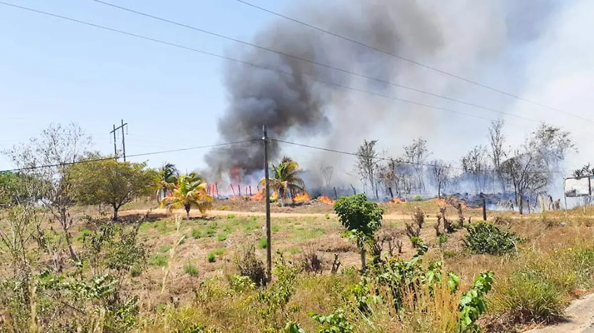 pastizales costa chica