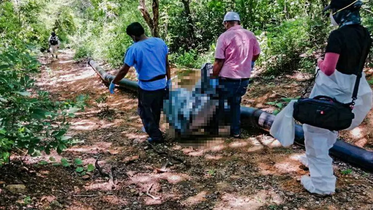 Desaparecidos Acapulco colectivo