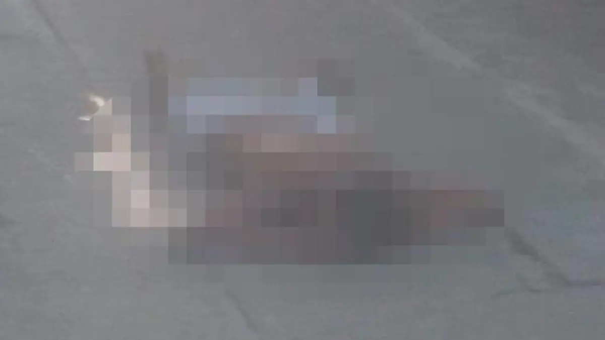 asesinado