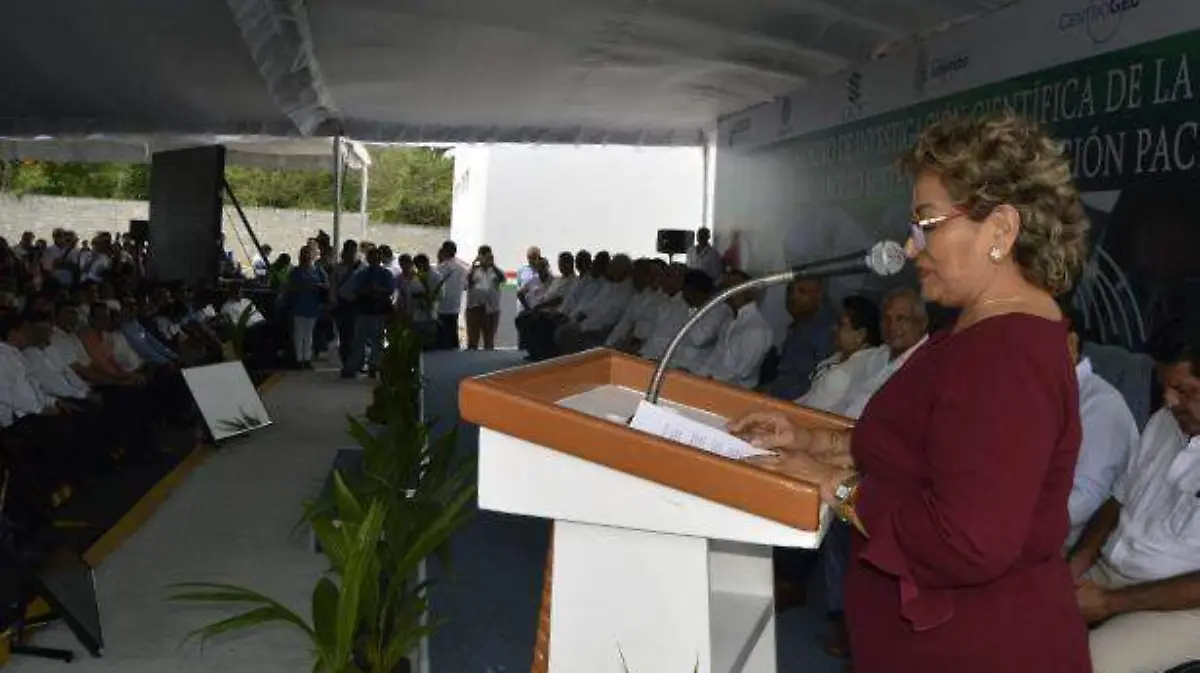 Acapulco - adela román opina sobre Evodio Velázquez