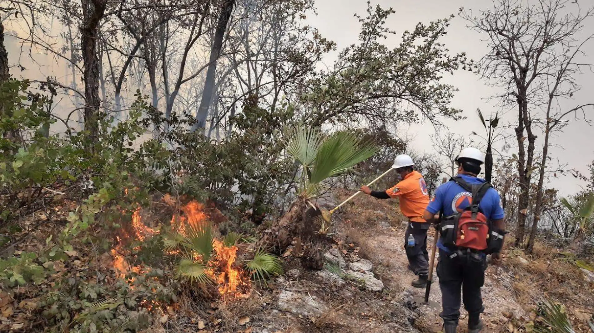 incendio-forestal