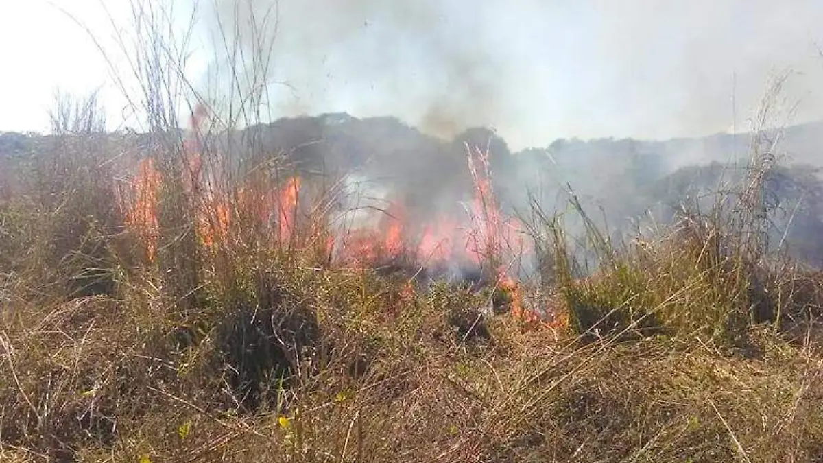 incendio cochoapa