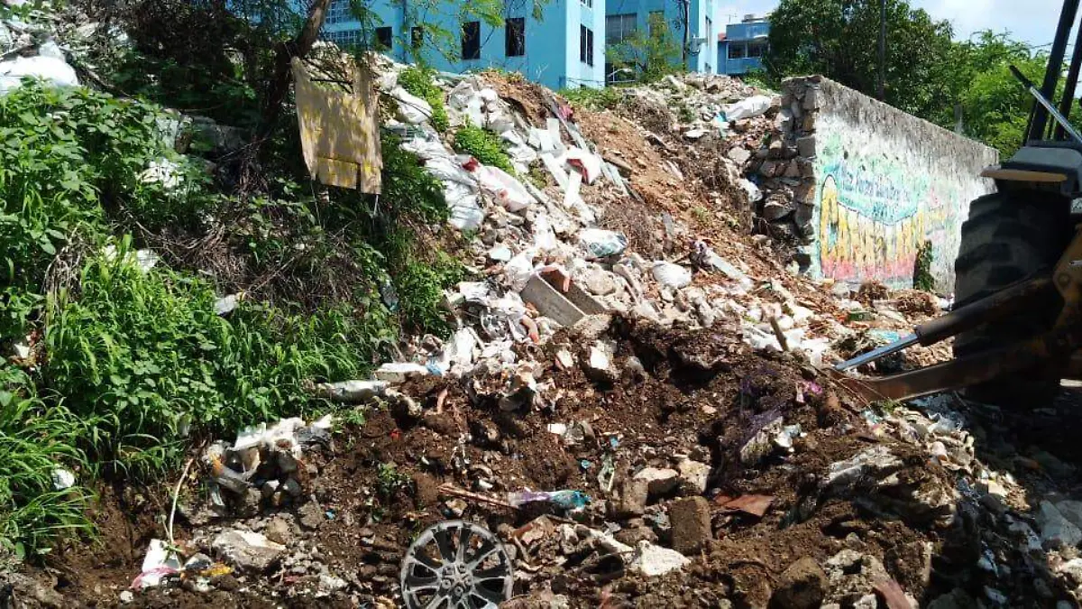 recogen toneladas de basura