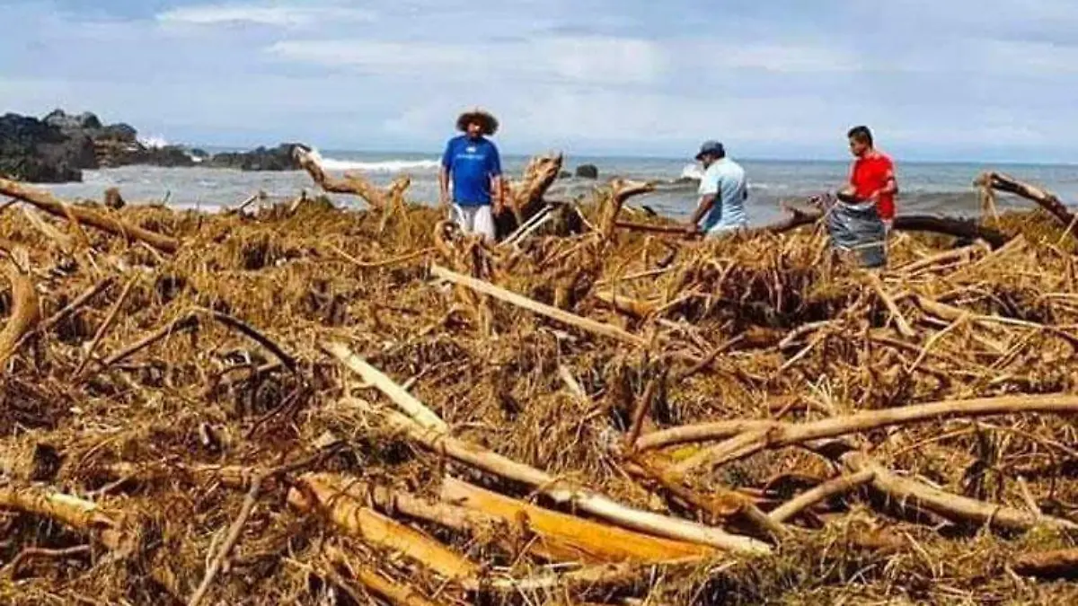 Basura Bahías de papanoa