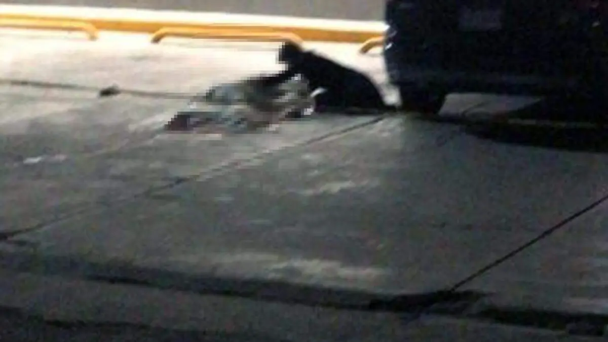 AMC