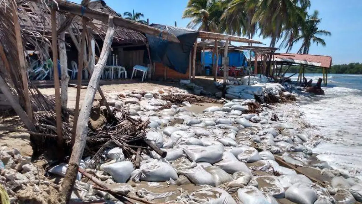Damnificados costa grande
