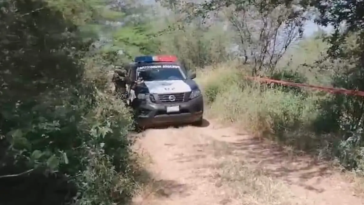 Cuerpos en pungarabato