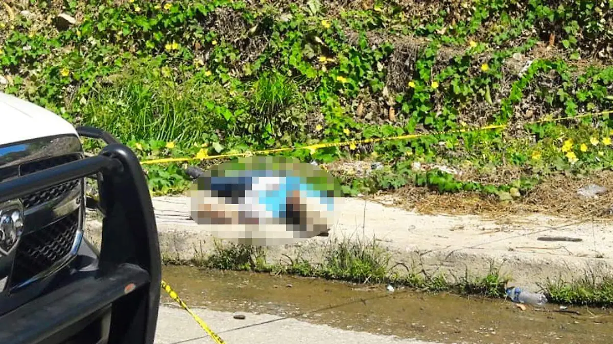 asesinado fraccionamiento costa azul