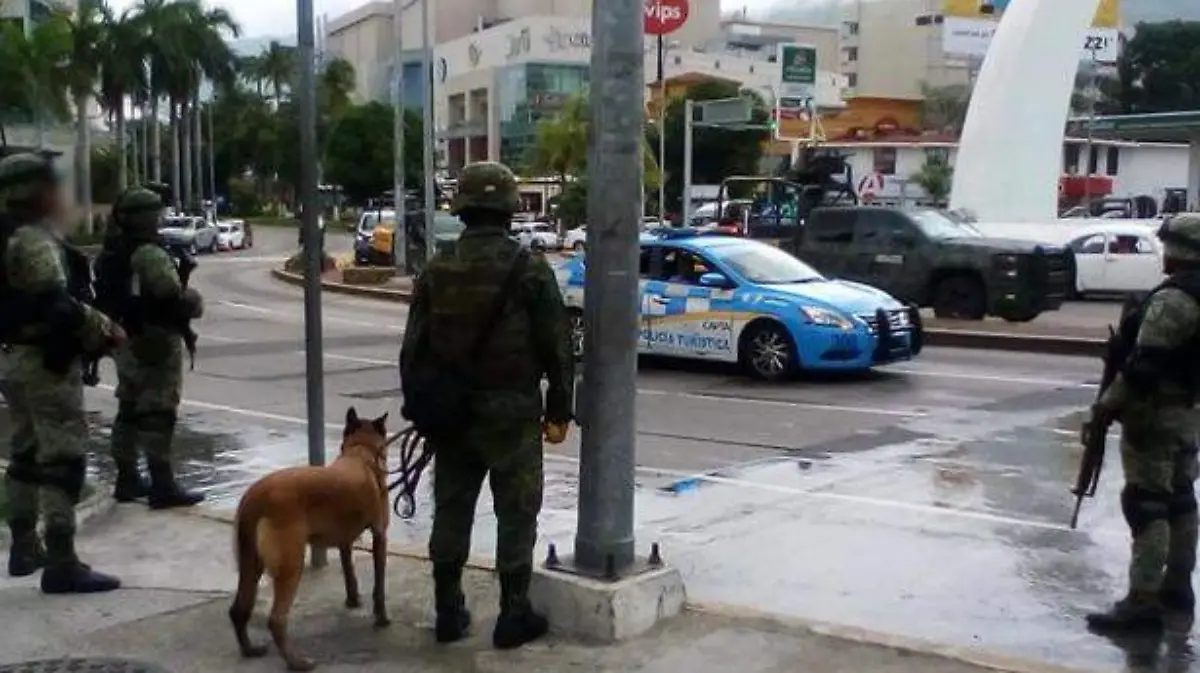 militares vigilando la Diana