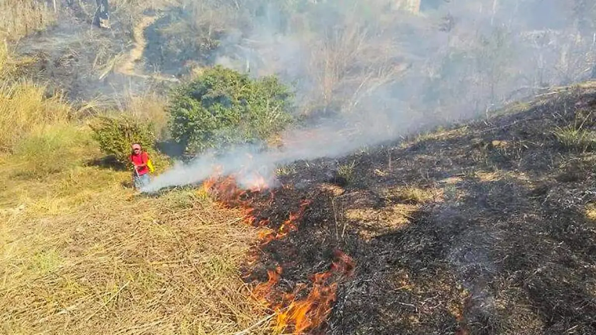 incendio forestal ometepec