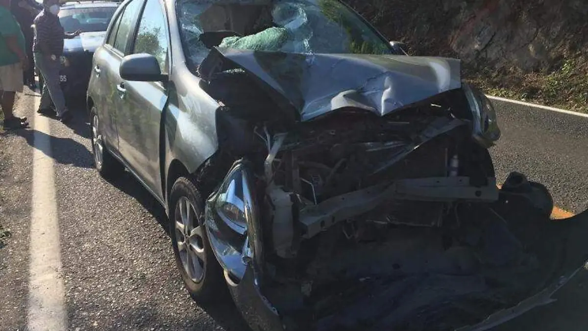 Acapulco accidente carretero