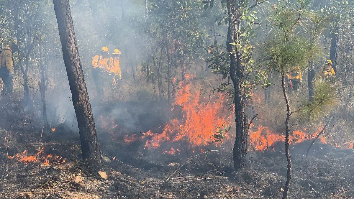 INCENDIO2