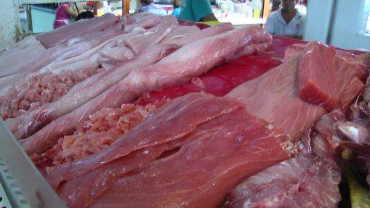 31ba07444e488f272a56923417e2f80e_L