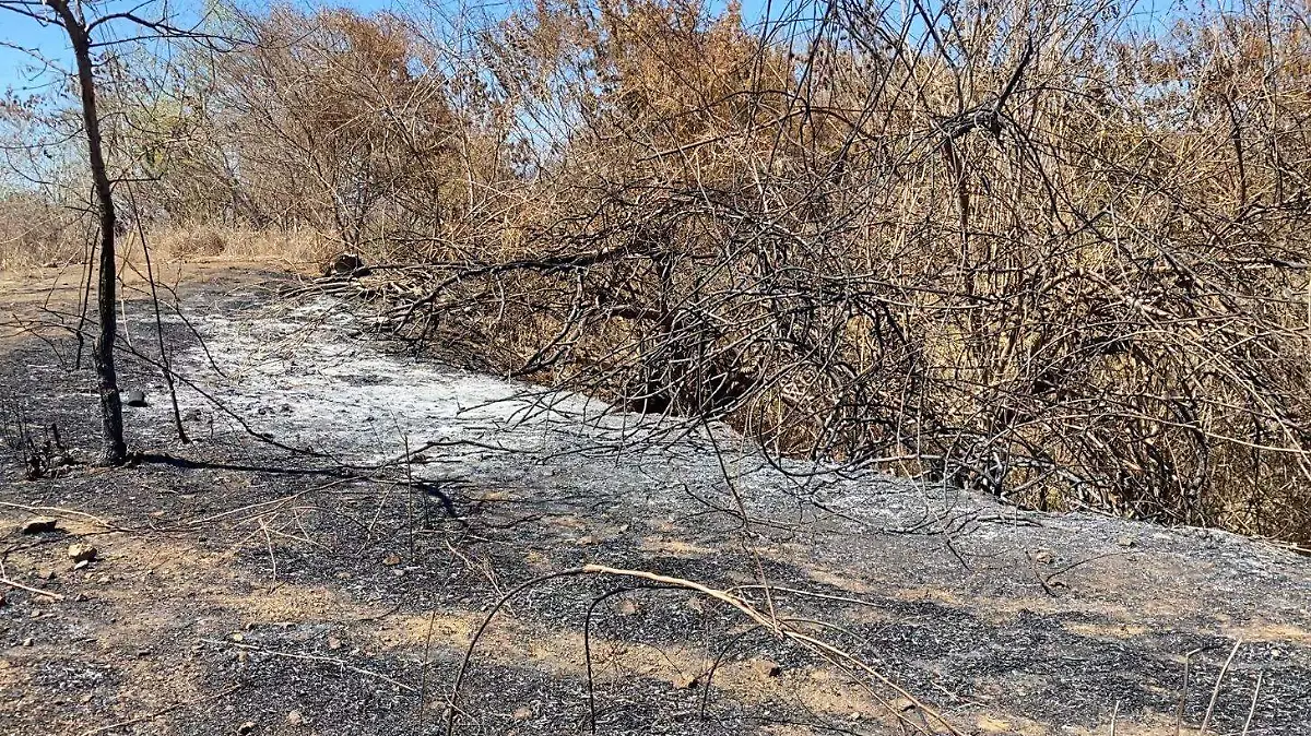 incendio