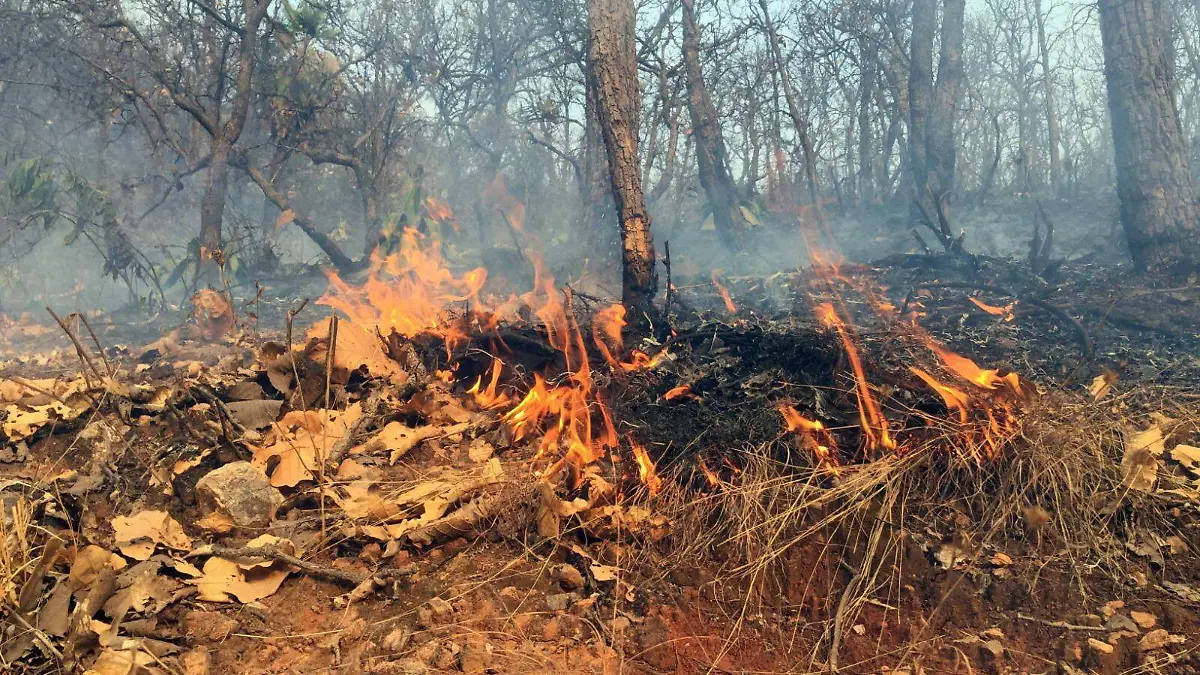 incendios1