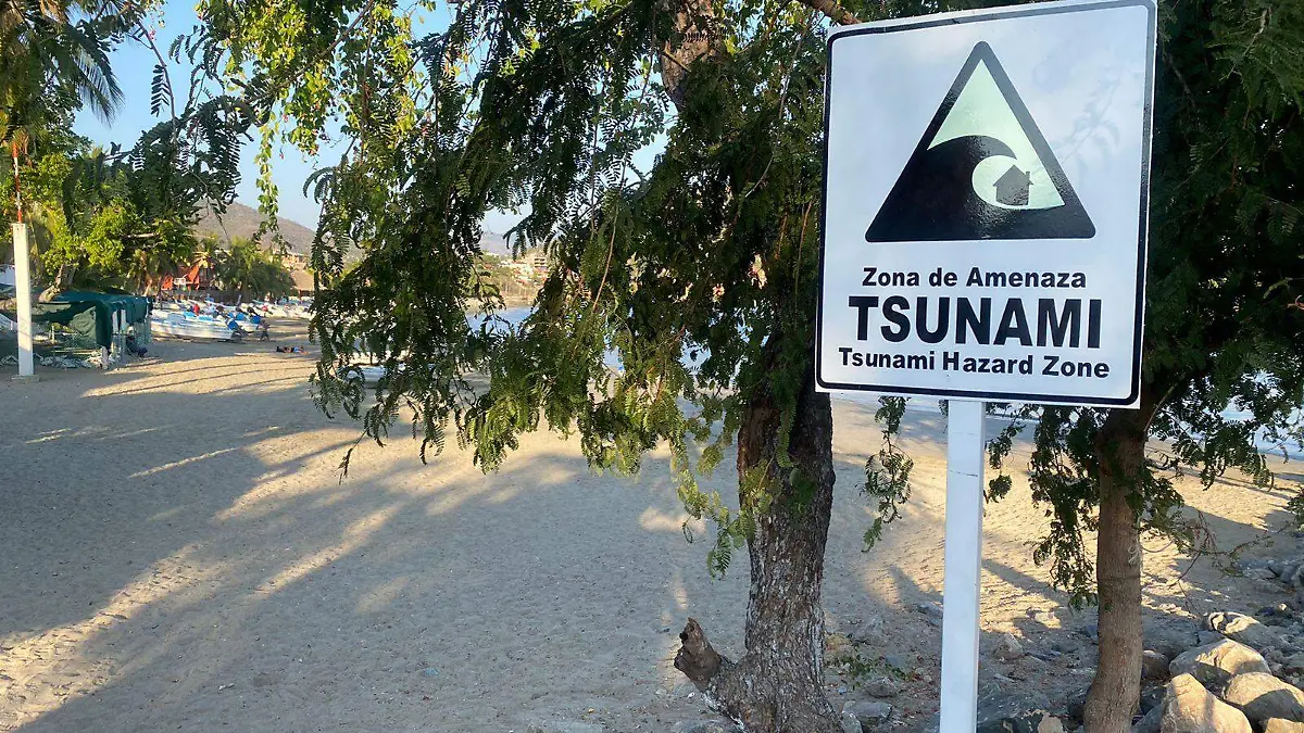 tsunami