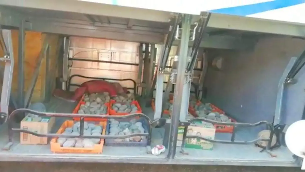 bus2