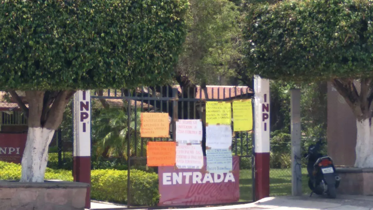 inpi1