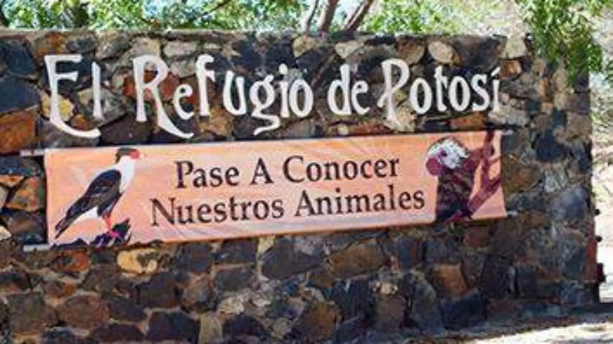 refugio