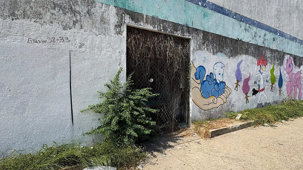 Maleza-Calles