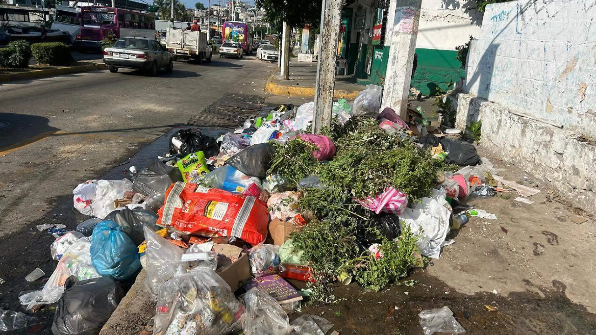 Basura-Acapulco