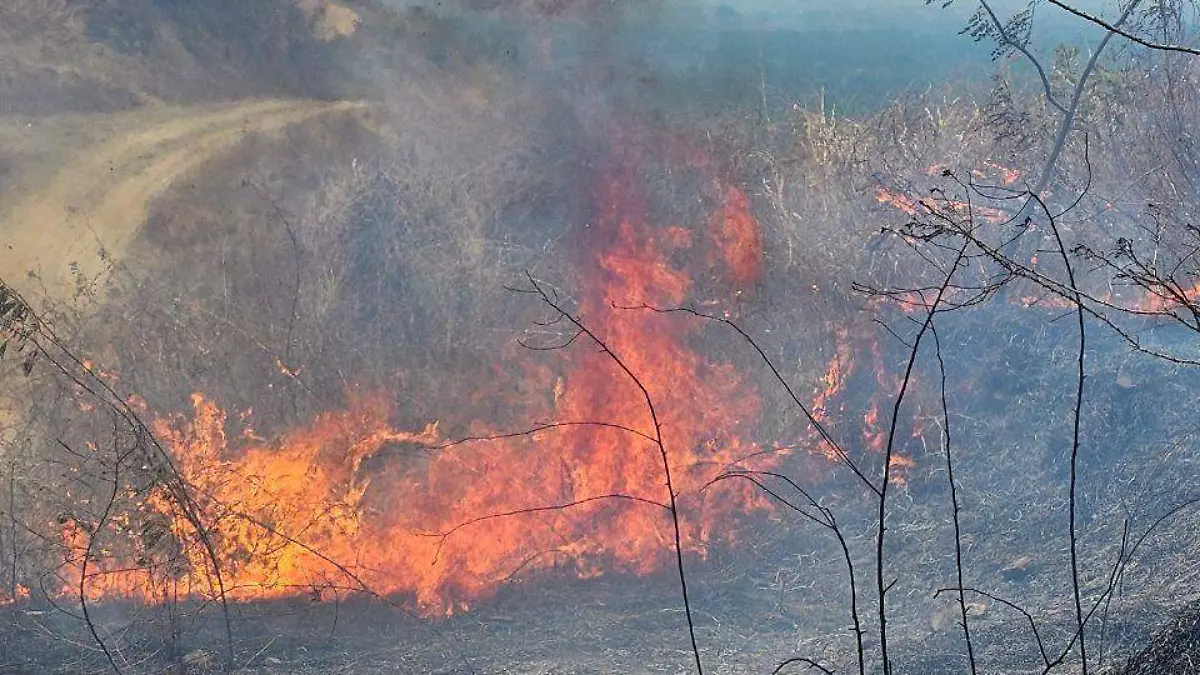 incendios