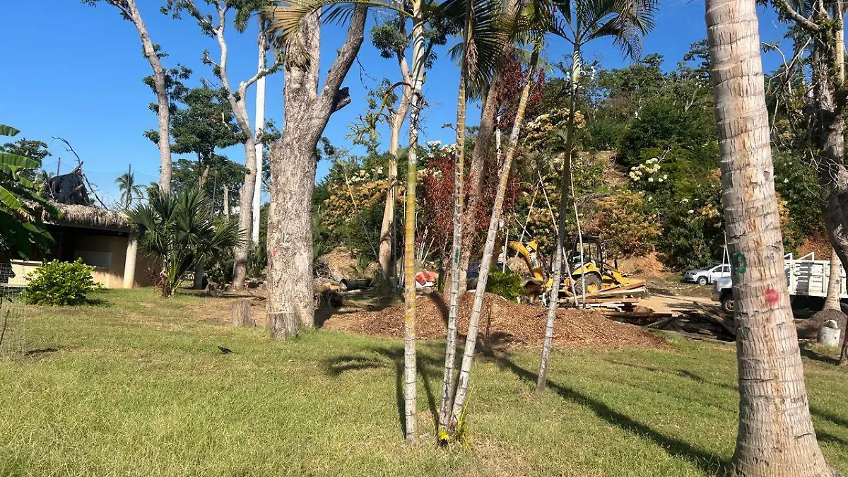 En el mes de abril se espera quede concluida la primera etapa