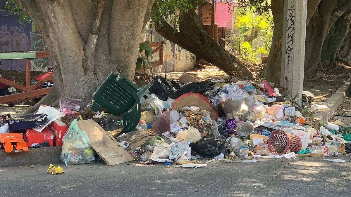 Basura en Chilpancingo